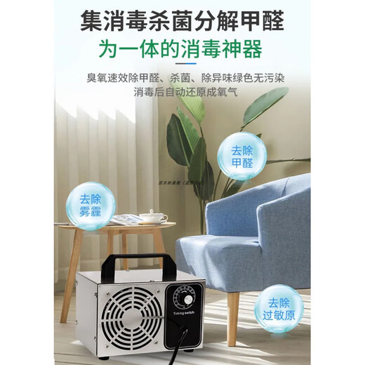 Ozone disinfection machine generator new house decoration household formaldehyde removal air purifier car interior deodorization household 220V 20g 0~100 square meters