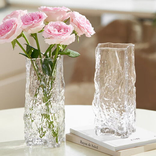 Cuttlefish Glacier Transparent Glass Vase Simple Light Luxury Desktop Ornament Flower Arrangement Birthday Gift New Year's Day Gift