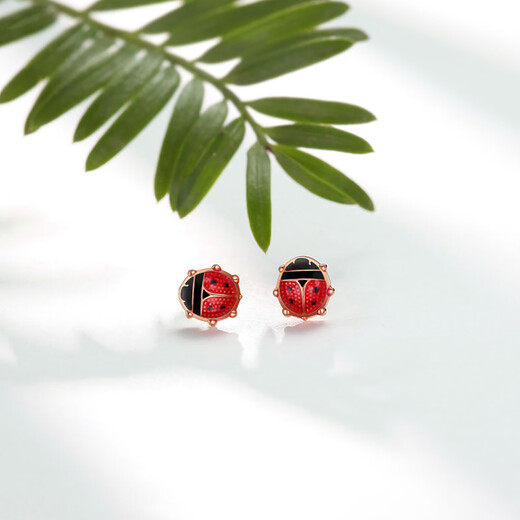 Chao Acer Little Ladybug 18K Gold Stud Earrings for Women Rose Gold Color Gold Earrings Fashionable Birthday Gift for Girlfriend Pre-sale Single Earring