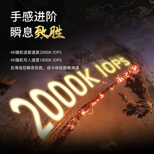 致态（ZhiTai）长江存储 4TB SSD固态硬盘 NVMe M.2接口 TiPro9000 系列《黑神话：悟空》联名版 (PCIe 5.0 产品)
