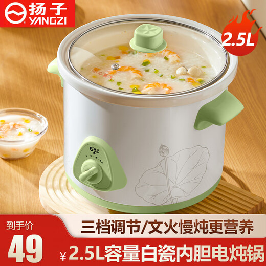 Yangzi fully automatic electric stew pot for cooking porridge, stew pot, food supplement pot, stew pot, small electric stew pot, 1.5 liter soup pot, old-fashioned electric casserole, temperature-controlled slow cooker, soup pot, stew pot, 2.5L, suitable for 1-4 people