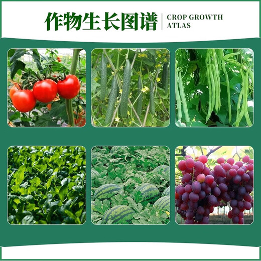 2% amine fresh ester preserves flowers, preserves fruit, increases yield, antidote damage, roots and seedlings, fruit tree, vegetable and flower growth regulator 500g