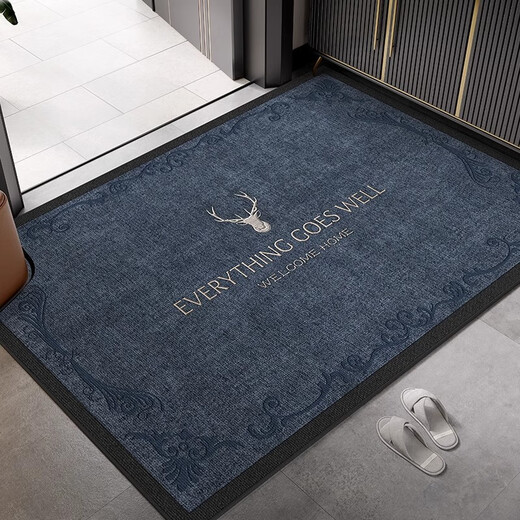 Xinglianxin entrance door mat 2025 new door carpet stain-resistant no-wash household foot mat entrance door mat 80X120cm