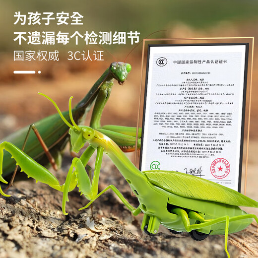 
MOTHER/NEAR remote control mantis electric simulation toys Douyin prank artifact cockroach boys can move spider crawling animals [Classic version - remote control ladybug] red 9922+ screwdriver official standard