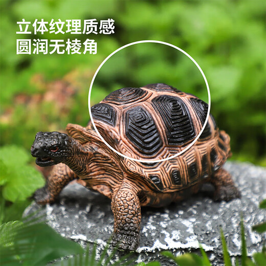 Newkey Children's Toys Simulation Animal Model Bunny Boys and Girls Wild Animal World Awareness Card Set