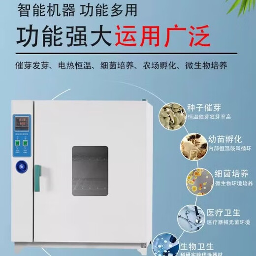 Xiongge electric heating constant temperature incubator constant temperature box Vibrio mold microorganism seed germination box incubator laboratory 303-0 galvanized inner tank 25*25*25 without blast