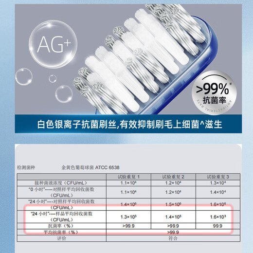 Frog Adult Toothbrush Set 2 Pack Antibacterial Medium Hard and Soft Bristle Toothbrush for Men and Women (Random Color)