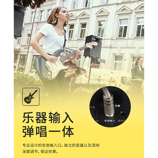 Edifier (EDIFIER) PW312 12-inch stage outdoor mobile speaker high-fidelity square dance ktv camping electric acoustic guitar folk instrument speaker