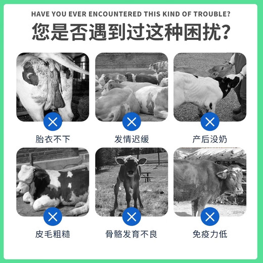 YINGMEIER Cow Premix Wholesale Trace Elements for Veterinary Breeding and Estrus Milk Special Authentic Concentrated Feed Cow Premix 20kg*1 Bag