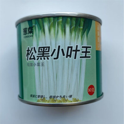 Pine Black Small Leaf King Green Onion Seeds Iron Steel Onion Zhangqiu Large Indus Green Onion Seeds Cold and Heat Resistant 90g Cans Pine Black Small Leaf King 3 cans