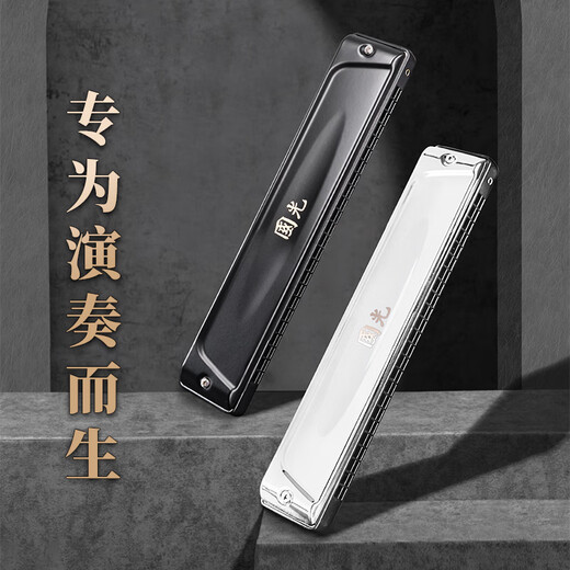 Guoguang 24-hole Guozhimeng performance-grade polyphonic harmonica in C (silver, embedded, glasses case)