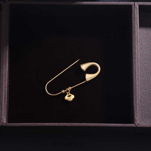 Delaney pregnant woman pin snake baby shock-fixing clothing brooch design high-end simple anti-exposure buckle neck decoration blessing pin