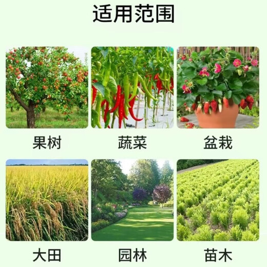 Smart Green Compound Fertilizer Universal Nitrogen, Phosphorus and Potassium Fertilizer for Flowers, Vegetables and Fruit Trees Agricultural Fertilizer Granular Fertilizer Medium Element Water-soluble Fertilizer Universal Granular Fertilizer 400g*2 Bags Limited Time Benefits