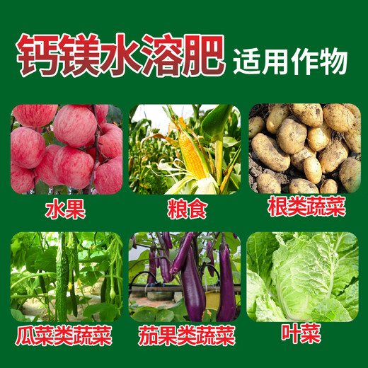 KINGENTA INTERNATIONAL Engrais de calcium et de magnésium Engrais soluble dans l'eau Pomme Tomate Fraise Engrais à élément moyen Anti-fissure Déformation des fruits 5L * 1 Seau