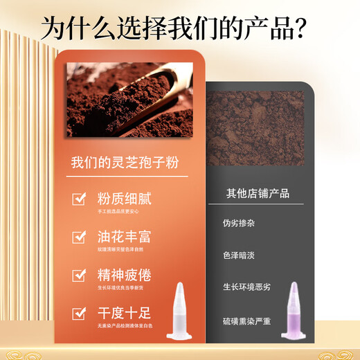 Qiannong Qianzi Ganoderma Lucidum Spore Powder 250G Jilin Changbaishan Ganoderma Lucidum Polvo de esporas Ganoderma Lucidum Polvo
