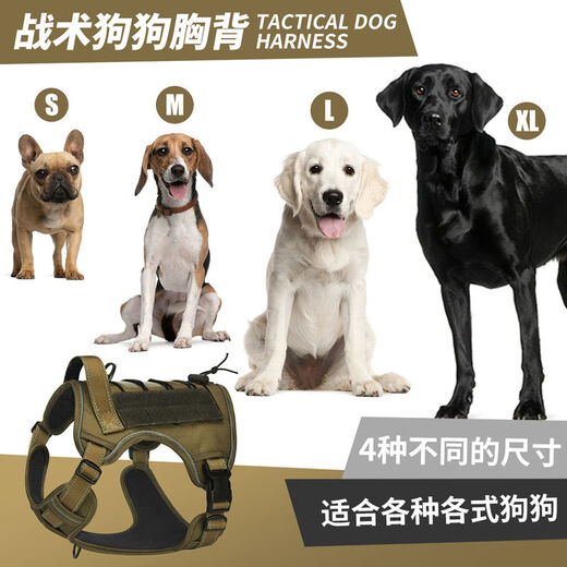 Gilet de la laisse de chiens de chiens à l'alypeta
