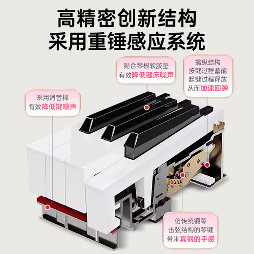 Bei Duochen 88 heavy hammer key electric piano for adults, children, beginners, home, professional level 10 electronic piano, black + 88 velocity keys, single pedal + official standard configuration