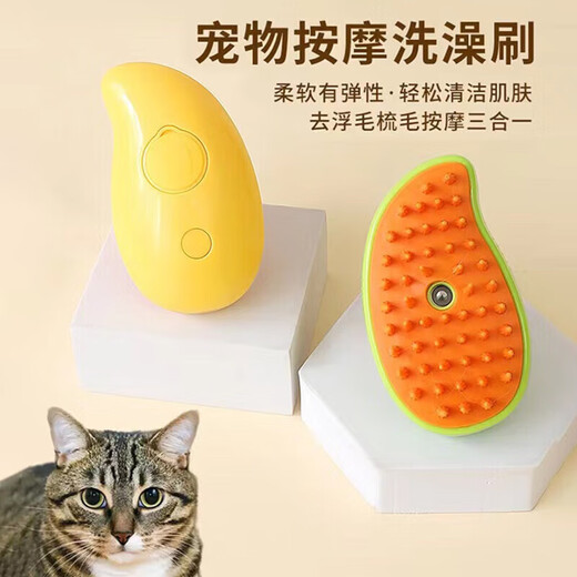 Pet spray combing brush cat and dog massager brush rechargeable hair removal comb to prevent flying hair