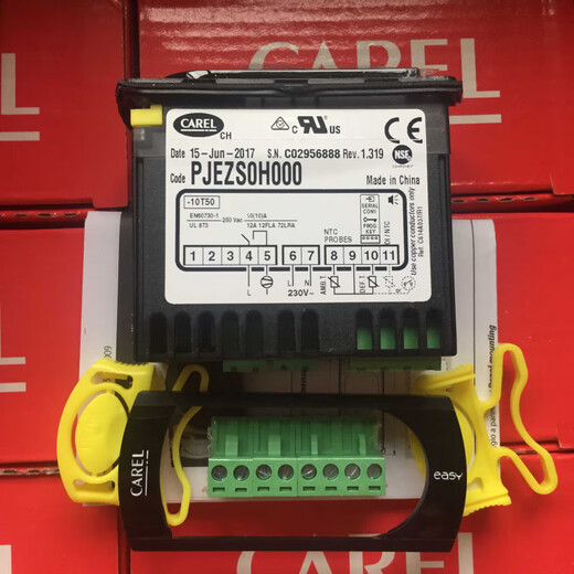 KALE Thermostat CODE PJEZS0H000 CODE PJEZSOHOOO EASY Temperature control only without probe