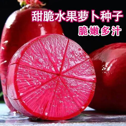 Qili Pineapple Fruit Radish Seeds Purple Beauty Radish Seeds Red Heart Red Skin Farm Fresh Vegetable Seeds in Autumn and Winter Seasons Pineapple Fruit Radish Seeds 300 capsules/1 pack + fertilizer