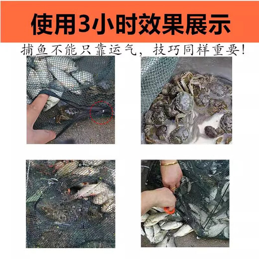 JCZS Folding Umbrella Cage Fishing Net Shrimp Cage Fishing Cage Fishing Net Fishing Net Cage Shrimp Cage Shrimp Net Folding Fishing Umbrella Net Luminous Bold Thickened 4 Holes + 5 Packs of Bait +