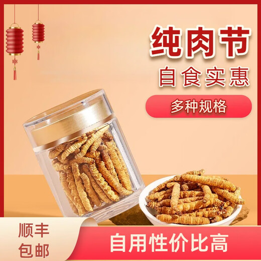 冬虫夏草全肉断草甄选断虫草整肉节虫草大断草性价比高补品营养品 西藏那曲精品整肉条 100克送10克