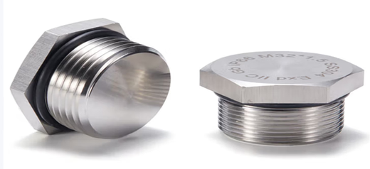 Otto G1 (1 inch DN25) stainless steel explosion-proof plug