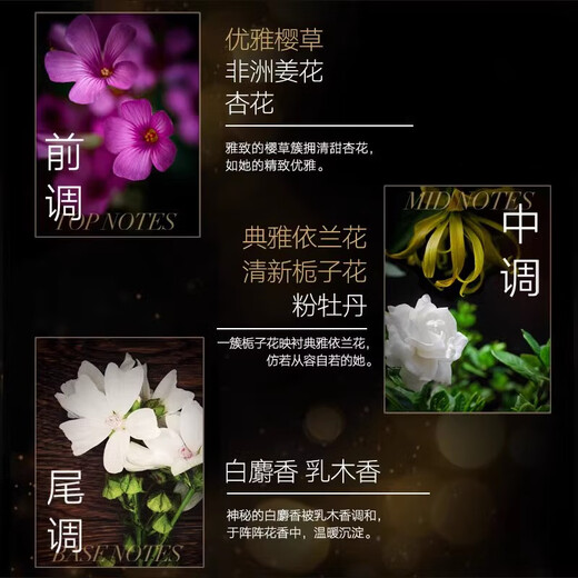 AVON Little Black Dress Full Body Lasting Fragrance Body Lotion Shower Gel Roll-on Perfume Antiperspirant Body Lotion Hand Cream Women's Set 1 Bottle Little Black Dress Body Lotion 200g