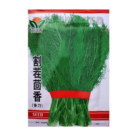 Select fennel seeds from the stubble. Sow fennel seeds from the stubble in four seasons. Potted plants for balcony floor planting. Easy to grow vegetable seeds. Select fennel seeds from the stubble. 20g pack.