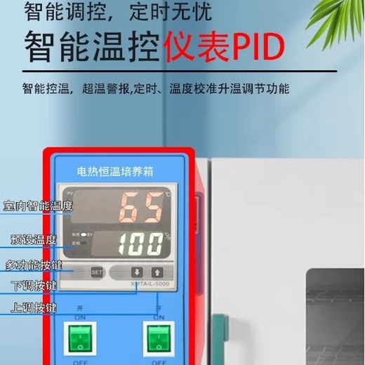 Xiongge electric heating constant temperature incubator constant temperature box Vibrio mold microorganism seed germination box incubator laboratory 303-0 galvanized inner tank 25*25*25 without blast