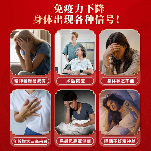 关德兴宝芝林破壁灵芝孢子粉礼盒装90粒*2瓶 增强免疫父亲节礼物
