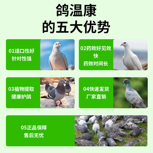 Pigeon plague medicine for pigeons with loose stools, green fecal joint disease, influenza, Newcastle disease pigeon medicine, a complete list of pigeon medicines available for parrots. Pigeon plague medicine 2 bottles, specifically for pigeons with loose stools.