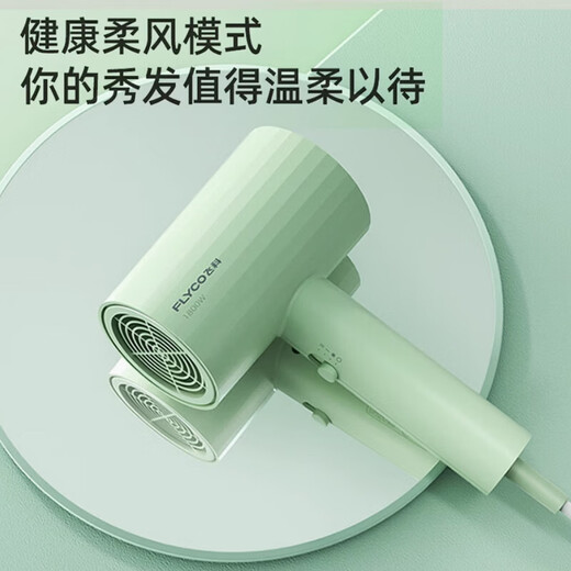 Feike hair dryer household quick-drying portable student dormitory low-noise hot and cold air high-power hair dryer negative ion hair care hair dryer 6290/6276 non-negative ion model + constant temperature healthy soft wind FH6296 emerald green