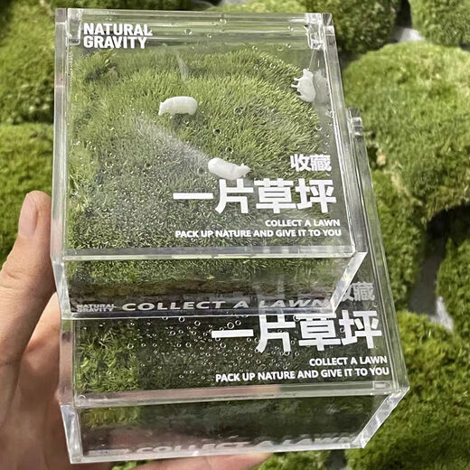 Jingdong green plants, a private lawn, office gift box, moss micro-landscape ornaments, ecological green plants, customized gifts, straight from the source