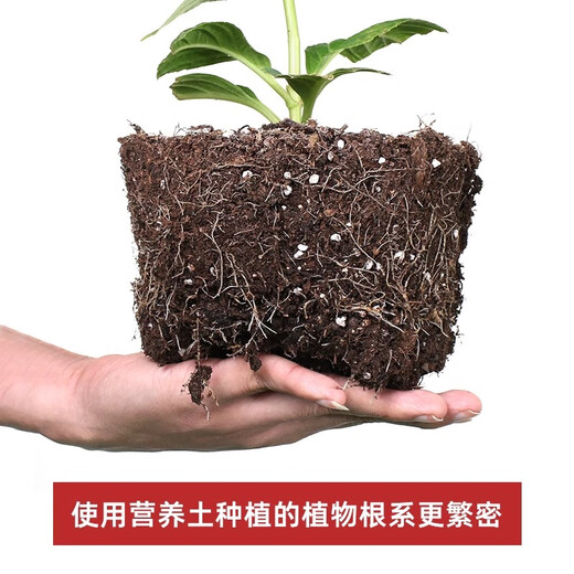 Huaminuo nutrient soil for flower cultivation, general flower soil, large bag of flower soil, 100 Jin, equal to 0.5 kg, potted flower planting soil, organic fertilizer, general nutrient soil, 50 Jin, equal to 0.5 kg, added rooting powder carbendazim