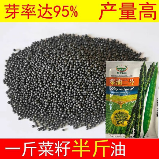 Qinyou № 2 рапс высокомасляный карликовый рапс морозостойкий рапс капустного типа Qinyou № 2 высокомаслянистый рапс капустного типа оригинальная упаковка 50 г