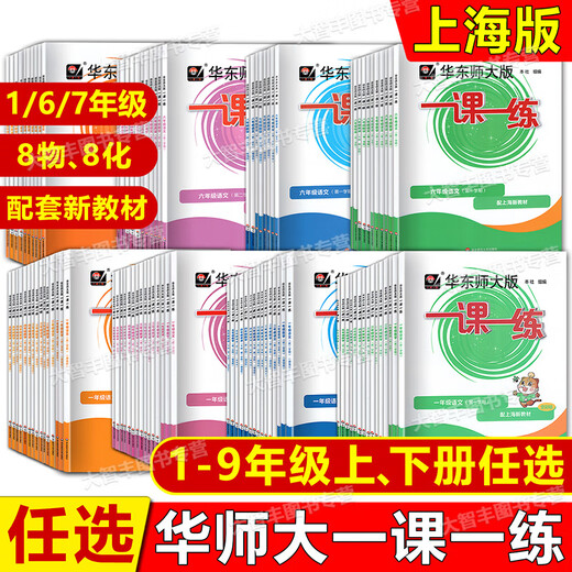 2025新版华东师大版一课一练六七年级年级语文数学英语物理化学普通版+增强版上海同步华师大一课一练678 语文普通版 六年级下