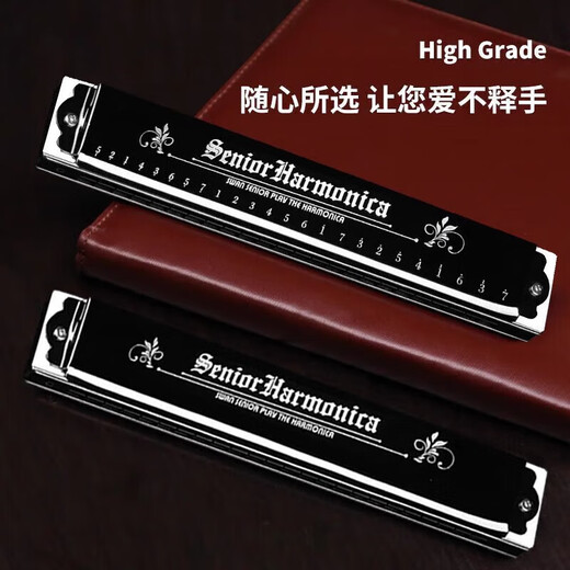 Swan German imported gongs 24-hole polyphonic harmonica advanced adult professional performance level beginner entry-level gift boutique 24-hole polyphonic C key (commonly used key) + gifts