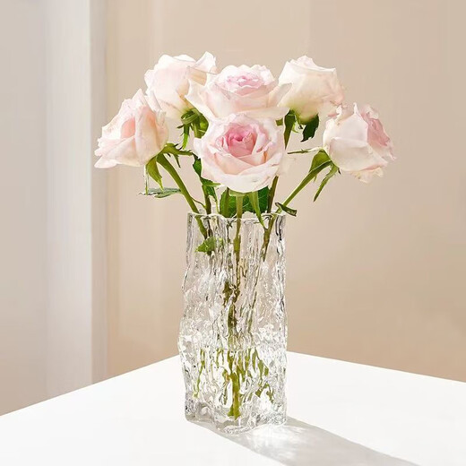 Cuttlefish Glacier Transparent Glass Vase Simple Light Luxury Desktop Ornament Flower Arrangement Birthday Gift New Year's Day Gift