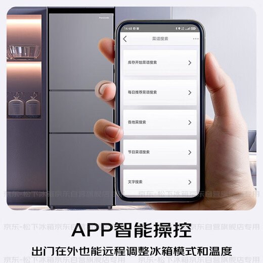 Panasonic's national subsidy