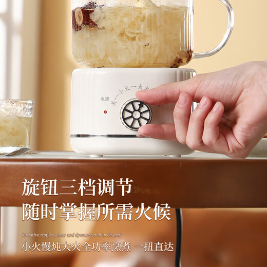 Health kettle, kettle, hot water kettle, thermostatic kettle, teapot, teapot, all-in-one, fully-glass, fully-automatic, small household, multifunctional office, large capacity, rose gold 0.6L