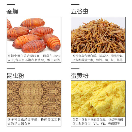 Kaiyuan (KO) Lark Bird Food Premium Bird Food Full Price Nutritional Probiotics General Bird Feed Love Singing Pretty Feathers Barrel 500g Full Price Lark Bird Food Barrel 500g