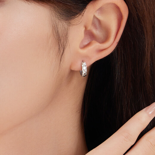 Lukfook Jewelry Platinum Earrings Sparkling Platinum 950 Earrings Price Approximately 2.64g