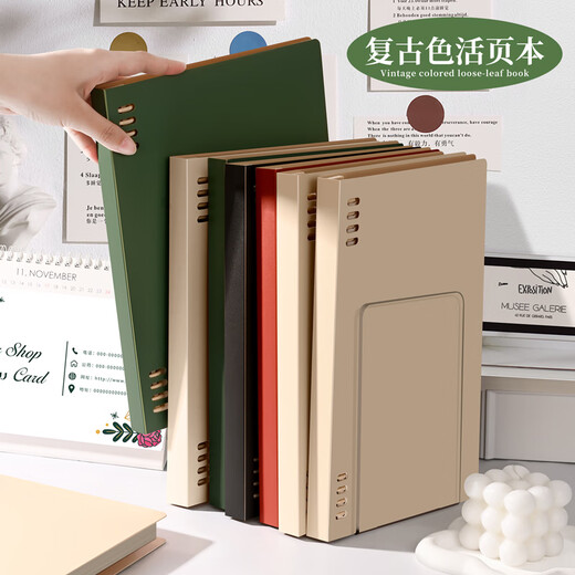 三木（SUNWOOD）A5/60张120页不硌手活页本 复古外壳可拆卸8孔横线笔记本 附索引页 考研错题作业本 棕黑 1389