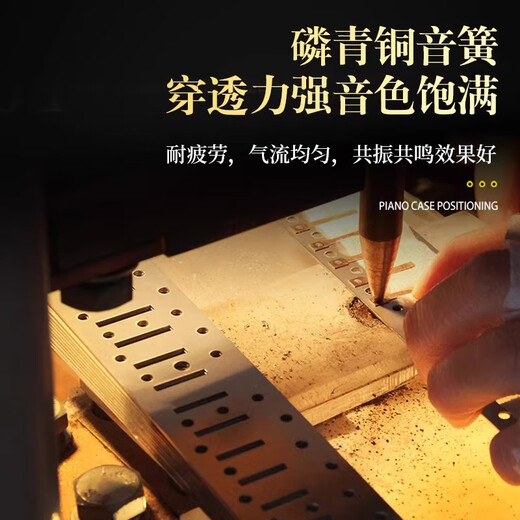 Guoguang chromatic harmonica 10 holes 12 holes 16 holes imported gongs for beginners students entry-level musical instruments for adults professional playing 12 holes chromatic scale black + video teaching