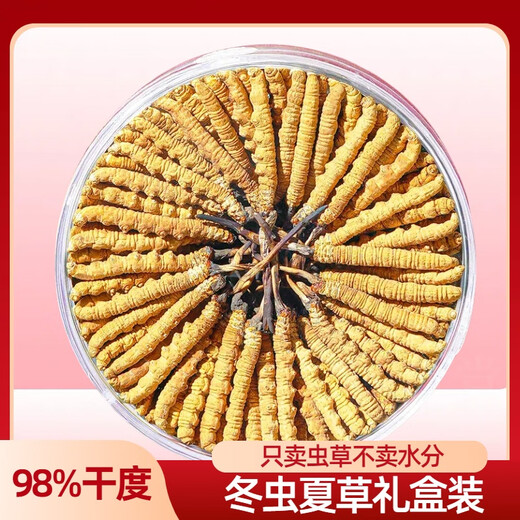 La nouvelle boîte cadeau séchée de Cordyceps séchée de Kangsil pour offrir des cadeaux à nourrir et à nourrir la qualité de sélection de Cordyceps pour les anciens Tibet Nagqu Cordyceps environ 2 racines / gram 80 racines (boîte cadeau)