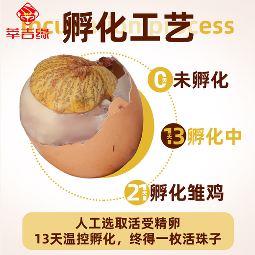 Xinjiyuan Live Beads Egg Embryos Spicy Eggs 13 Days Fresh Tempered Egg Five-Spice Fresh Ready-to-eat Live Beads 10 Five-Flavor Xinjiyuan Live Beads Egg Embryos Spicy Eggs 13 Days Fresh Tempered Egg Five-Spice Fresh Ready-to-eat Live Beads 10 Five-Flavor