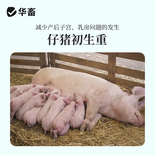 Huazhu 4% growing piglet, piglet premix, pig feed, fattening pig compound premix feed, sow feed beans, pregnant sow, whole ton as low as 63.98