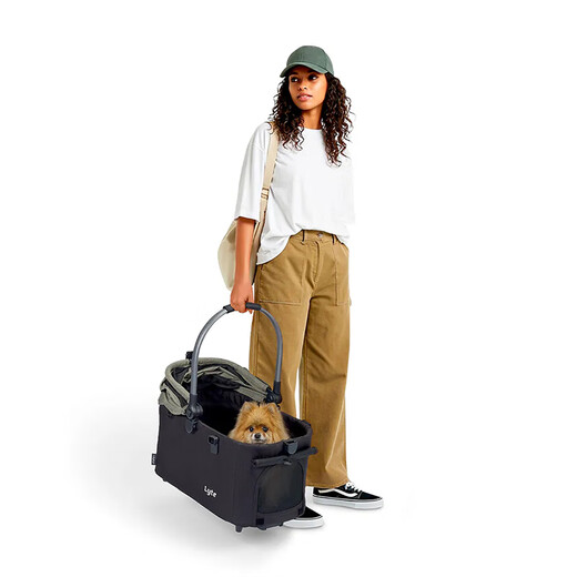 Ibiyaya (ibiyaya) China Taiwan FS2591 Hunde-Kinderwagen, Katzen-Kinderwagen, abnehmbarer Korb, Auto-Nest, Algengrün