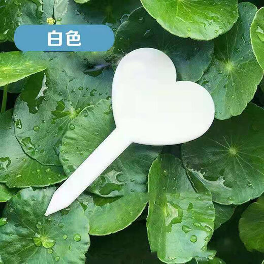 插地牌园艺多肉标签牌兰花花卉盆栽园艺插地牌植物标签防水加厚插 心形加厚绿色 100支+1支书写笔